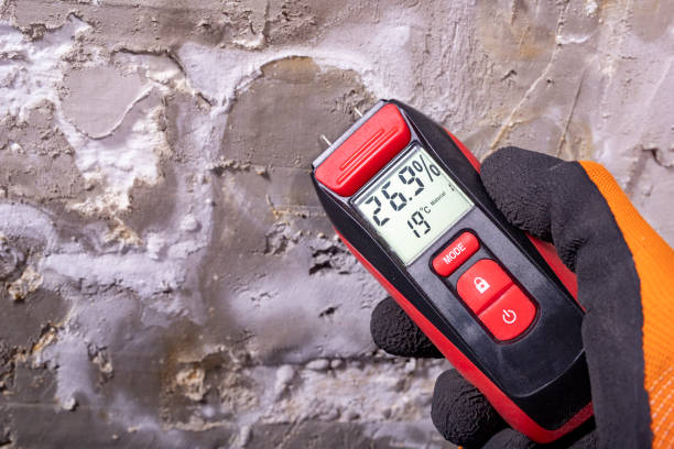 Best Commercial Mold Removal  in Ridley Rk, PA